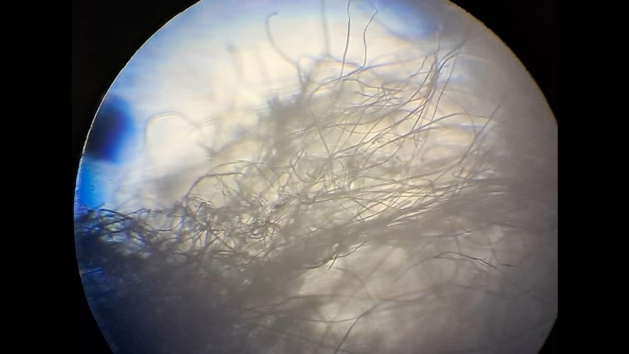 Electrospinning: Solution of Polystyrene in Methylene Chloride